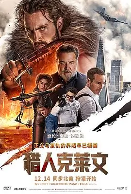 韩国电影哥哥的老婆 电影海报